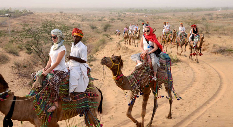 Camel Safari